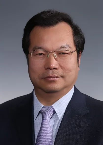 國際合成橡膠生產者協會2022年度綜合獎獲得者 梁愛民 教授