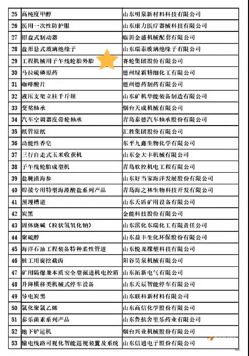 賽輪集團“工程機械用子午線輪胎外胎”榮獲山東省制造業單項冠軍 賽輪集團“工程機械用子午線輪胎外胎”榮獲山東省制造業單項冠軍