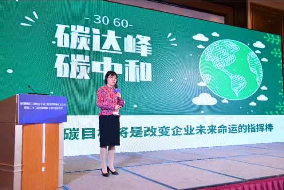 中國橡膠工業協會會長徐文英 中國橡膠工業協會會長徐文英