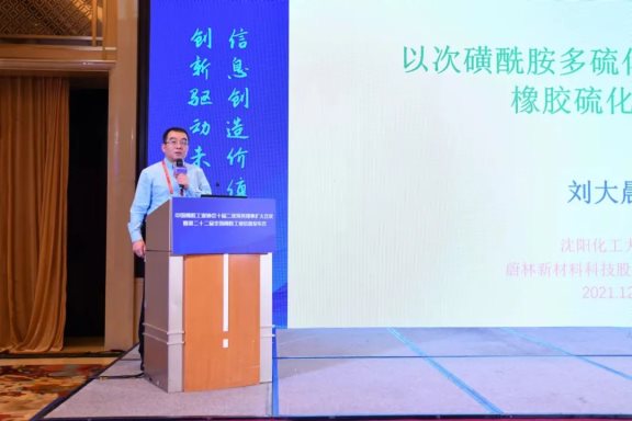 沈陽化工大學材料科學與工程學院副院長、蔚林新材料科技股份有限公司特聘專家劉大晨教授 沈陽化工大學材料科學與工程學院副院長、蔚林新材料科技股份有限公司特聘專家劉大晨教授