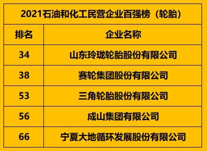 5家輪胎企業,上榜百強榜! 5家輪胎企業,上榜百強榜!
