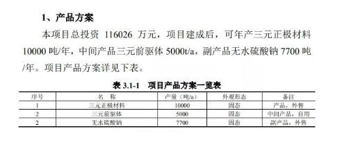 成立精細化工子公司,加速布局可降解材料 成立精細化工子公司,加速布局可降解材料