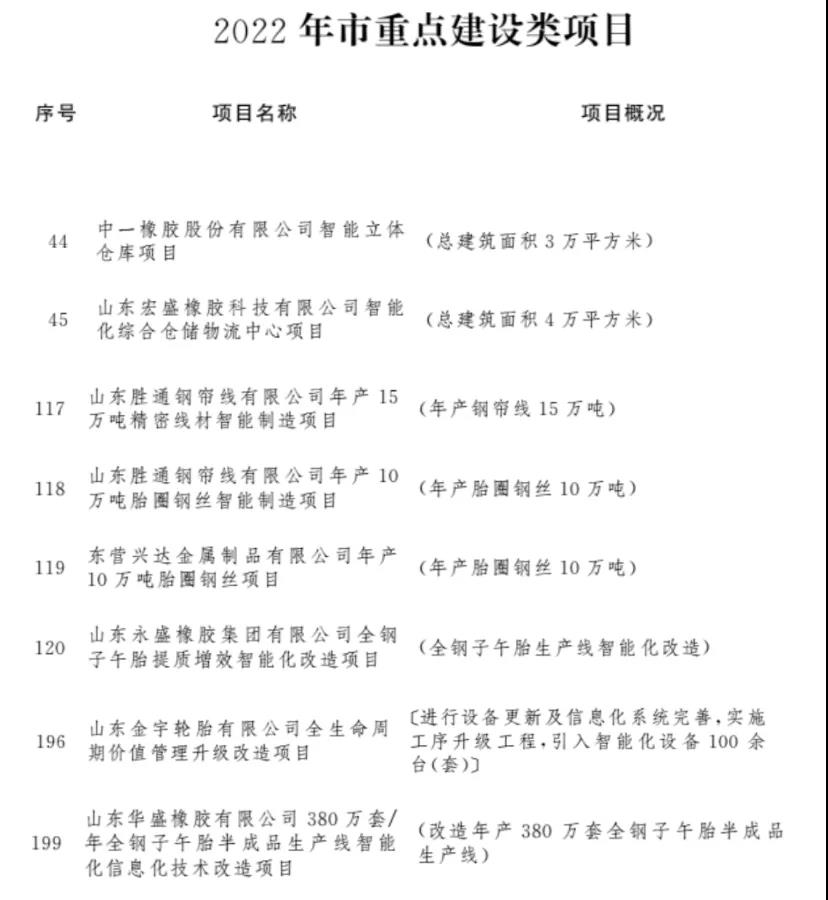 東營(yíng)9大輪胎項(xiàng)目，啟動(dòng)！
