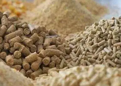 俄烏兩國對飼料價格的影響有多大？