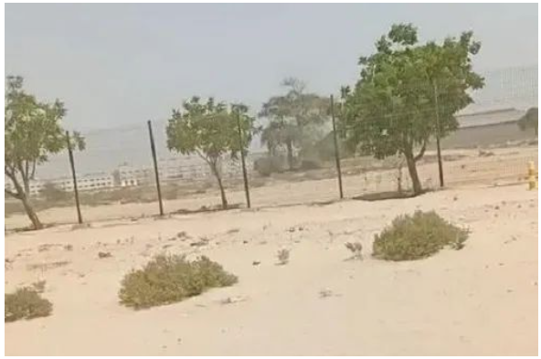 阿聯酋絕大部分地區是沙漠和洼地，起伏不平的路面會對輪胎造成一定的沖擊