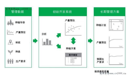 普利司通利用大數據優化橡膠樹種植，助力橡膠園增產