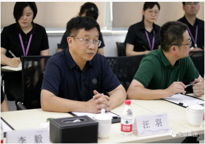 汪羽表示，安徽黑貓公司與民營企業的合作是成功的，具有可復制意義