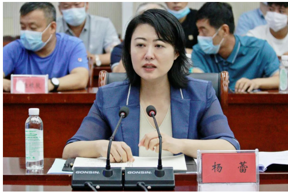 邢臺市任澤區委書記楊蕾等區委、區政府領導，陪同專家組調研了河北省重點特色產業集群——任澤區橡塑材料產業集群