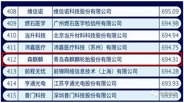 中國新經(jīng)濟500強,森麒麟入選 中國新經(jīng)濟500強,森麒麟入選