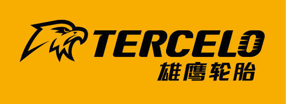 4個月，輪胎公司賺了近百萬！
