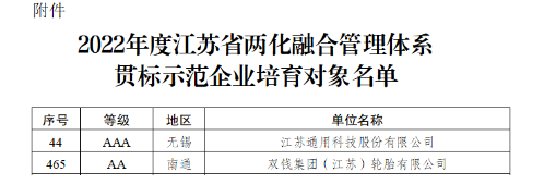 江蘇政府：重點培育這兩家輪胎！