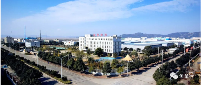 魚童入選國家級專精特新"小巨人"企業的實力吧