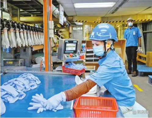 轉嫁額外成本是馬來西亞手套制造商面臨的一大挑戰