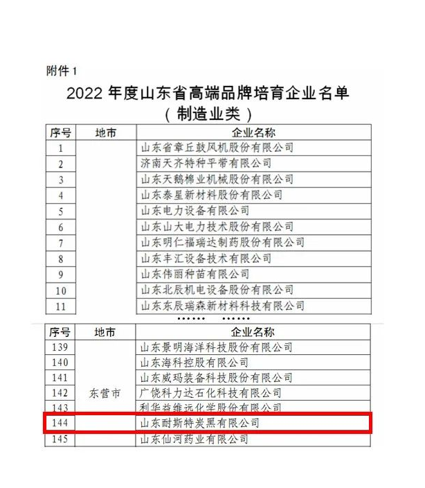 耐斯特炭黑公司將錨定“走在前、開新局”，繼續(xù)踐行“創(chuàng)新引領(lǐng)、經(jīng)營增效，高效管理、節(jié)能創(chuàng)效，持續(xù)發(fā)展、管理提效”的戰(zhàn)略定位，把科技創(chuàng)新擺在更加突出的位置、置于更加優(yōu)先的發(fā)展方向，大力推進(jìn)以企業(yè)為主體的技術(shù)創(chuàng)新體系建設(shè)，強(qiáng)化關(guān)鍵核心技術(shù)攻關(guān)，牢牢掌握創(chuàng)新發(fā)展主動權(quán)，打造原始創(chuàng)新高地和強(qiáng)大引擎，持續(xù)推動產(chǎn)學(xué)研用一體化發(fā)展，以更自覺的擔(dān)當(dāng)、更堅(jiān)決的態(tài)度、更有力的舉措持續(xù)加強(qiáng)高技能人才隊(duì)伍建設(shè)，努力為山東先進(jìn)制造業(yè)強(qiáng)省建設(shè)貢獻(xiàn)更多的萬達(dá)耐斯特智慧和力量，以更優(yōu)異的成績迎接黨的二十大勝利召開。