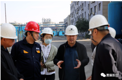 趙偉就烏海黑貓公司概況、發展規劃及生產經營情況向調研組進行匯報。