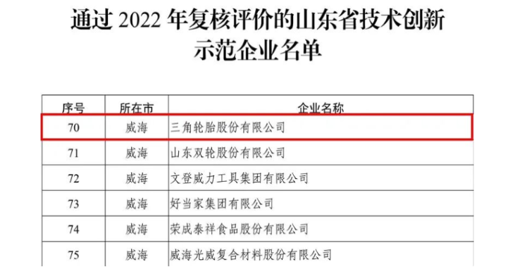 三角通過技術創新示范企業復評