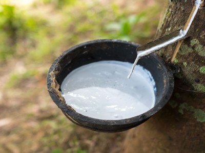 橡膠有哪些原材料？你不知道的橡膠知識