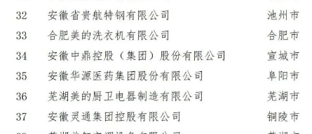 在合肥召開的第五屆2022世界制造業大會中國民營制造業合作交流對接會上，正式對外發布了2022安徽省民營企業制造業綜合百強。