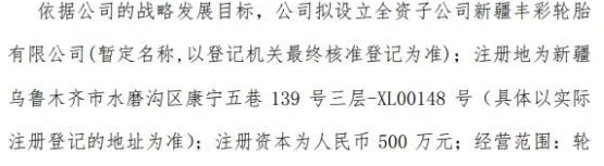 公司戰略發展目標 公司戰略發展目標