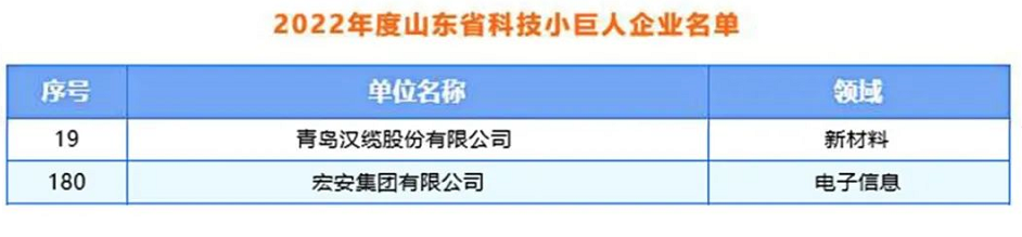 青島漢纜股份、宏安集團入選2022年度山東省科技領軍企業名單