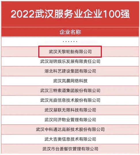 武漢天黎，連續(xù)五年入選政府榜單！