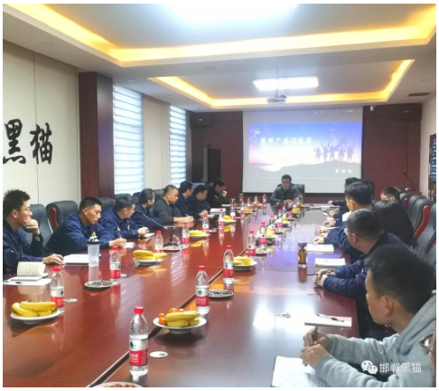 邯鄲黑貓召開“集思廣益謀發(fā)展、踔厲奮發(fā)開新局” 主題座談會(huì)