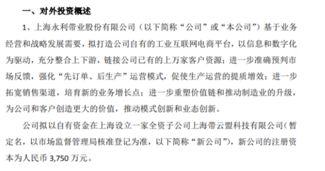 永利股份擬以自有資金在上海投資3750萬設立一家全資子公司上海帶云盟科技有限公司