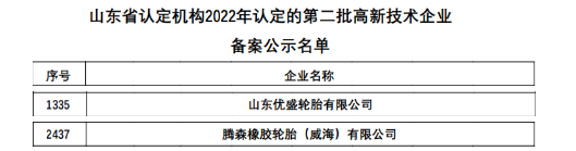 最新：六家輪胎入選高新企業！