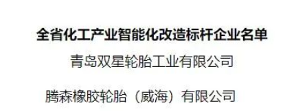 青島雙星輪胎工業有限公司 青島雙星輪胎工業有限公司