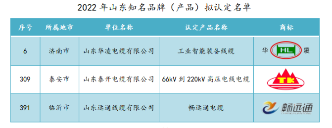 山東華凌電纜、山東泰開電纜、山東遠(yuǎn)通線纜入選2022年山東知名品牌擬認(rèn)定名單 山東華凌電纜、山東泰開電纜、山東遠(yuǎn)通線纜入選2022年山東知名品牌擬認(rèn)定名單