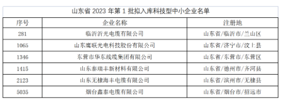 其中，東營(yíng)市華東線纜集團(tuán)有限公司、臨沂沂光電纜有限公司、山東鷹聯(lián)光電科技股份有限公司、山東泰瑞豐新材料有限公司、山東無(wú)棣海豐電纜有限公司、煙臺(tái)鑫泰電纜有限公司等多家電線電纜企業(yè)進(jìn)入山東省2023年第1批擬入庫(kù)科技型中小企業(yè)名單。