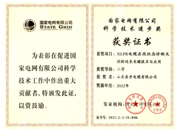 山東泰開電纜有限公司憑借其“XLPE電纜在役狀態診斷及役齡延長關鍵技術與應用”項目，獲得了國家電網有限公司的“科學技術進步獎”，這是對該公司近年來高質量發展的充分肯定。