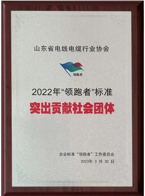 會上，山東省電線電纜行業協會獲“2022年‘領跑者’標準突出貢獻社會團體”“2022年‘領跑者’榜單突出貢獻評估機構”兩項殊榮。授牌儀式隆重舉行，這也標志著山東省電線電纜行業協會在企業標準“領跑者”制度的評價工作中取得了重要成果。