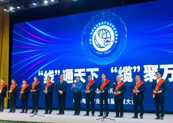 大會(huì)還頒發(fā)了“河間電線電纜產(chǎn)業(yè)突出貢獻(xiàn)獎(jiǎng)”、“河間電線電纜產(chǎn)業(yè)銷售明星獎(jiǎng)”，常豐線纜有限公司、華旗線纜有限公司、滄州會(huì)友線纜股份有限公司等10家企業(yè)獲得突出貢獻(xiàn)獎(jiǎng)，竇義昌、宋福生、趙博娟等15人獲得銷售明星獎(jiǎng)。此外，會(huì)上播放了“河間電線電纜產(chǎn)業(yè)專題片”，講述河間電線電纜發(fā)展史、產(chǎn)業(yè)總體情況、企業(yè)產(chǎn)品、未來發(fā)展等。
