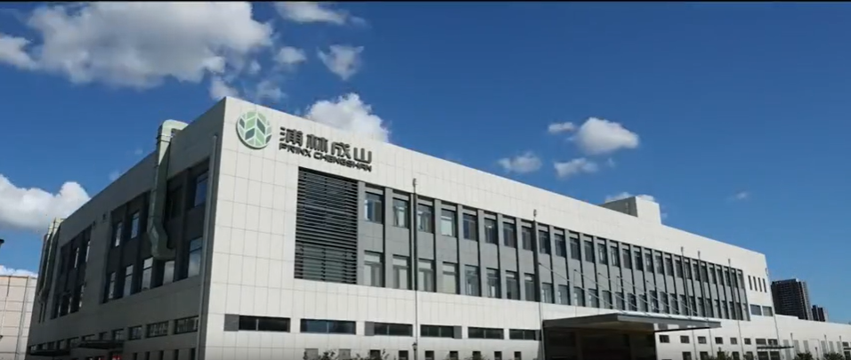 浦林成山的銷量基本持平，收入同比提升，國內(nèi)經(jīng)銷業(yè)務克服重重困難，提高市場份額。