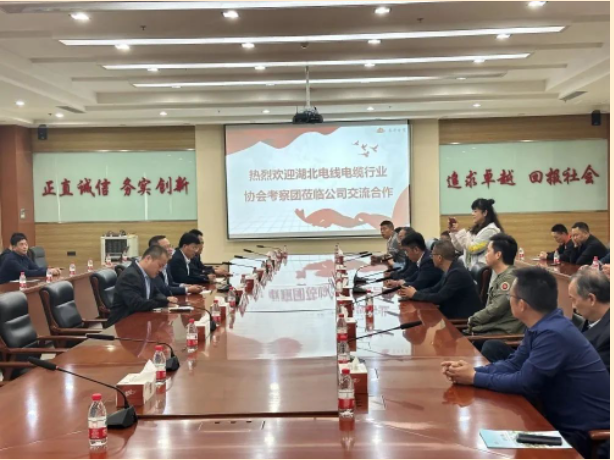 山東泰開(kāi)電纜有限公司總經(jīng)理張愛(ài)華陪同下，交流團(tuán)一行人參觀了集團(tuán)展廳，詳細(xì)了解集團(tuán)的發(fā)展歷程、經(jīng)營(yíng)理念、科研創(chuàng)新、核心零部件等情況，同時(shí)考察了集團(tuán)下屬高壓、電纜制造現(xiàn)場(chǎng)。在座談會(huì)上，雙方就技術(shù)研發(fā)、生產(chǎn)管理、質(zhì)量控制、員工獎(jiǎng)勵(lì)等方面的問(wèn)題進(jìn)行了友好互動(dòng)交流。