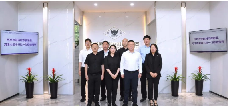山西省運城市委常委、河津市委書記李曉武與河津市委常委、常務副市長閆新善一行，于今日蒞臨安徽黑貓公司，對其特種炭黑事業部展開調研。陪同調研的還有安徽黑貓公司相關負責人。