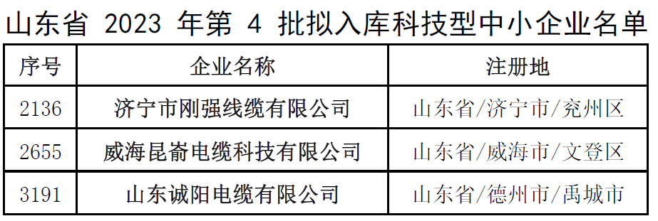 此次入庫名單的公示將為這些企業帶來更多的發展機遇和資源支持，同時也為其他科技型中小企業樹立了榜樣。