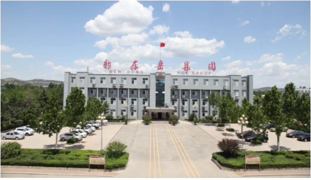 這次會議為新東岳集團公司的高級管理人員提供了一個交流和總結的平臺，以進一步推動企業的高效運營。