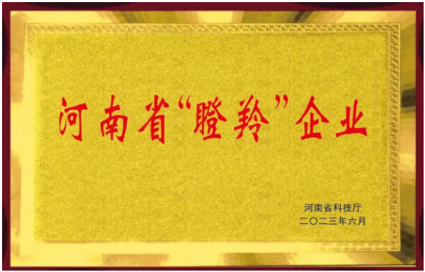 恒力橡塑股份有限公司的入選不僅證明了該公司在橡膠助劑領域的突出成就，同時也彰顯了河南省在科技創新和高新技術企業培育方面的努力。