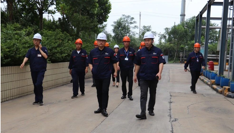 通過這次專項檢查，耐斯特炭黑公司進一步鞏固了對安全生產(chǎn)和環(huán)保工作的重視，并為未來持續(xù)發(fā)展提供了有力保障。