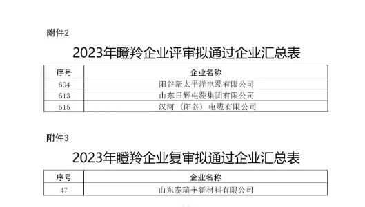 山東省工業和信息化廳在本次認定工作中嚴格按照相關文件規定的程序和標準進行評選，充分尊重市場主體自愿申報的原則，注重專家評審和第三方信用評級的公正性與權威性，確保了認定結果的準確性和公信力。