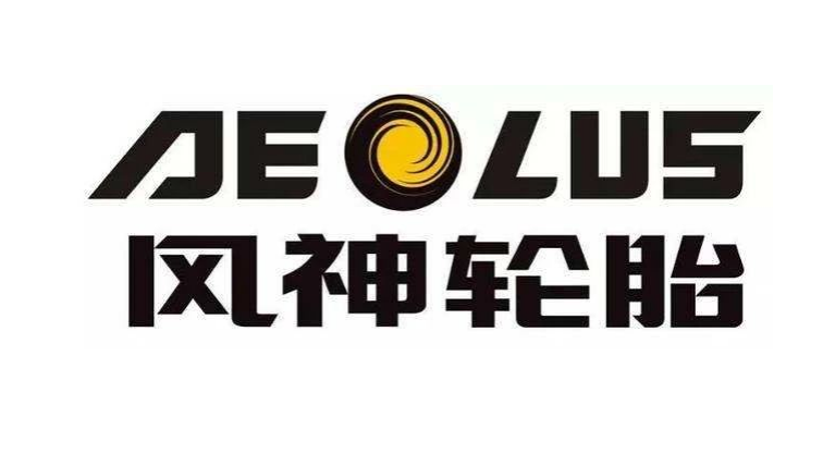 河南省制造業(yè)頭雁企業(yè)名單正式對外公布。在這份名單中，風神輪胎股份有限公司脫穎而出，成為唯一入選的輪胎企業(yè)。