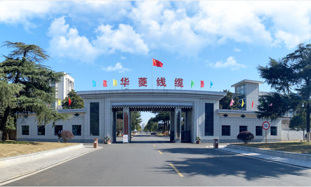 華菱線纜表示將繼續積極響應“雙碳”號召，進一步開拓綠色新能源行業，推動行業能源清潔化、低碳化、高質量發展。公司將致力于提供更加優質的產品和服務，實現社會、客戶與企業共贏目標。