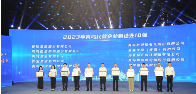 依托青島科技大學的支持，賽輪集團憑借其內在的科技創新基因脫穎而出。成立20余年來，該集團始終秉持著“做一條優質輪胎”的使命，緊緊抓住自主創新這一引擎，聯合國家橡膠與輪胎工程技術研究中心，全力攻克一系列核心技術難題。不僅成功研發出世界最大尺寸的63吋巨型工程子午胎，還發布了全球首個投入使用的橡膠工業互聯網平臺——“橡鏈云”。此外，其還運用全球首創的化學煉膠技術，成功研發出新一代輪胎產品，被譽為“液體黃金”輪胎。這一產品不僅在耐磨方面實現突破，還在節能、舒適性和制動距離等方面做出了顯著貢獻，解決了業界長期面臨的“魔鬼三角”難題。
