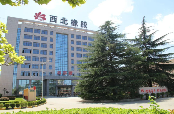 陜西咸陽高新區(qū)管委會公布了《2023年重點(diǎn)工業(yè)企業(yè)培育計劃首年入庫名單》，共有16家企業(yè)脫穎而出，其中陜西延長石油西北橡膠有限公司(簡稱西橡公司)以優(yōu)異表現(xiàn)成功入選。