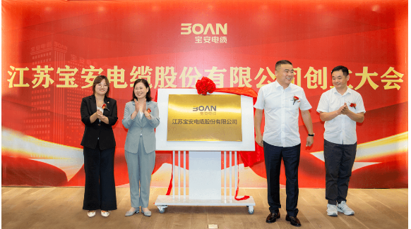 這一次股東大會的成功召開為江蘇寶安電纜股份有限公司的未來發展注入了新的活力，也為其在資本市場上的發展藍圖奠定了堅實基礎。