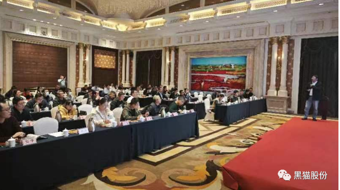 各參會嘉賓齊聚一堂，會場氣氛熱烈，會談內容豐富。通過本次推介會，黑貓股份與參會企業之間的距離得以拉近，工作思路也得以拓寬，為公司未來的高質量蓬勃發展奠定了堅實基礎。