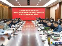 棗礦集團橡膠產業規劃論證會召開